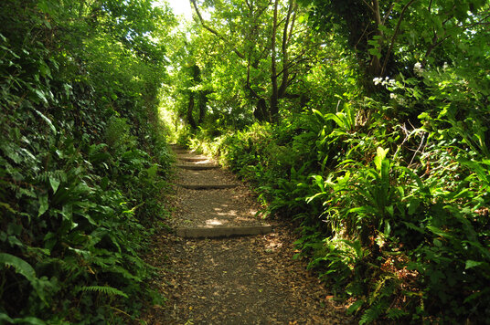 Path through one of the coastal valleys