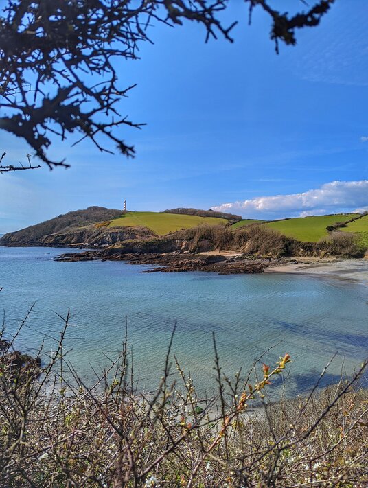 View across Polridmouth to Gribbin Head