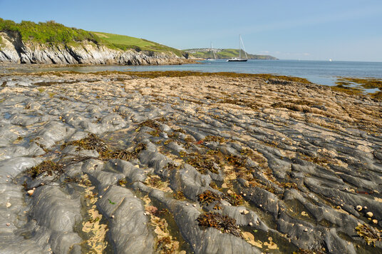 Wave cut platform at Gribbin
