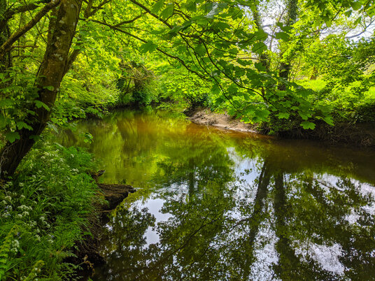 River Camel near Grogley