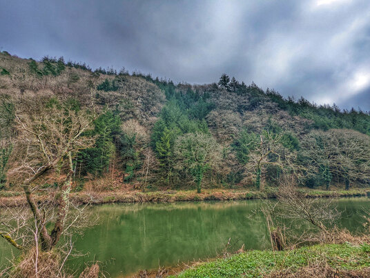 Riverside view at Gunnislake