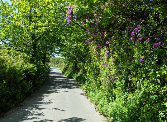 Lane to Gwennap Pit