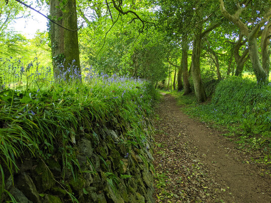 Path near Gwennap Church