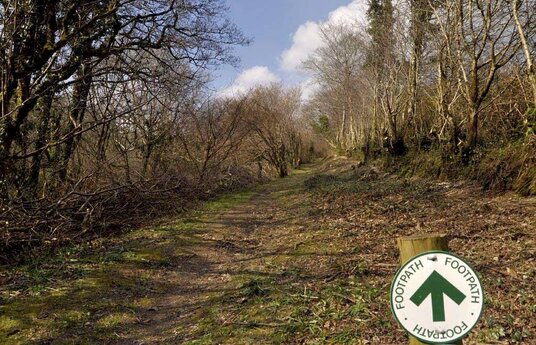 Path towards Lesnewth