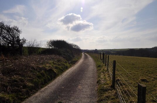 The lane back to Tregrylls