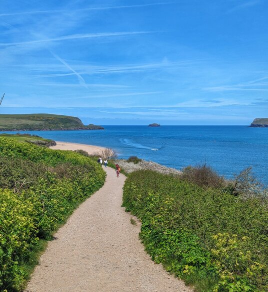 Coast path to Harbour Cove