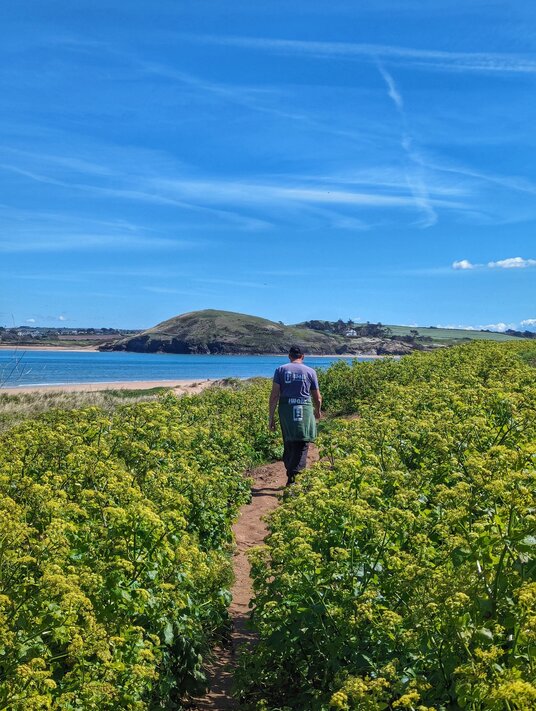 Coast path at Harbour Cove