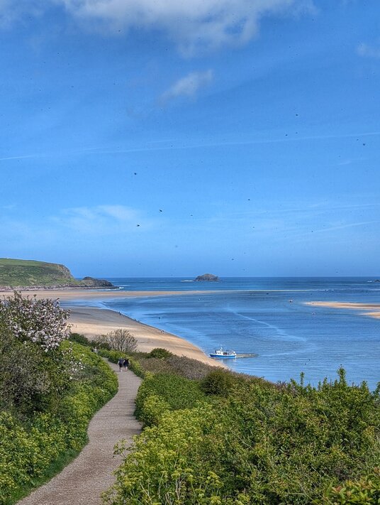 Coast path to Harbour Cove