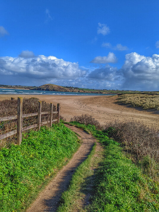 Coast path above Harbour Cove