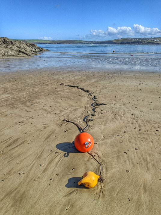 Hawker's Cove at low tide