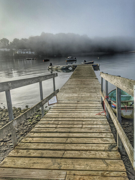 Pontoon on the creek