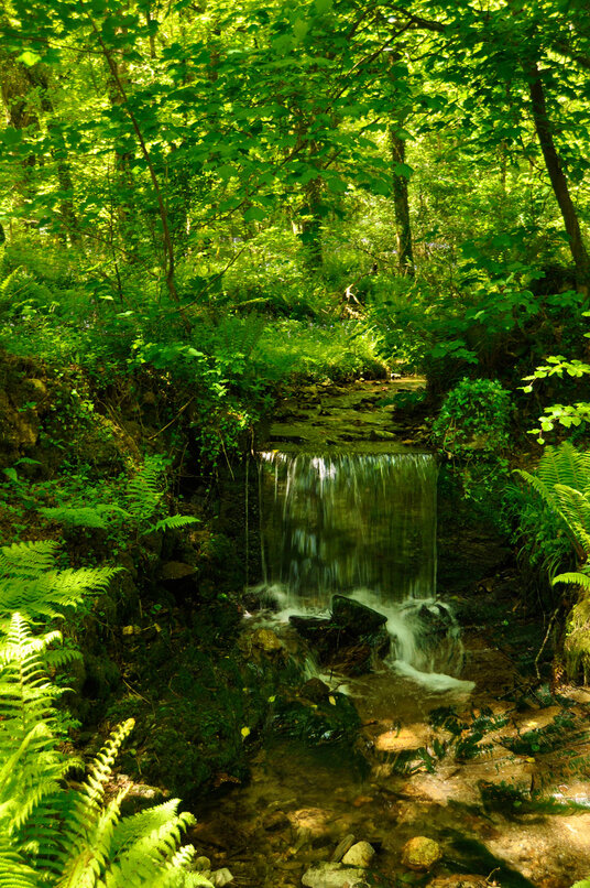 Waterfall at Helligan Barton