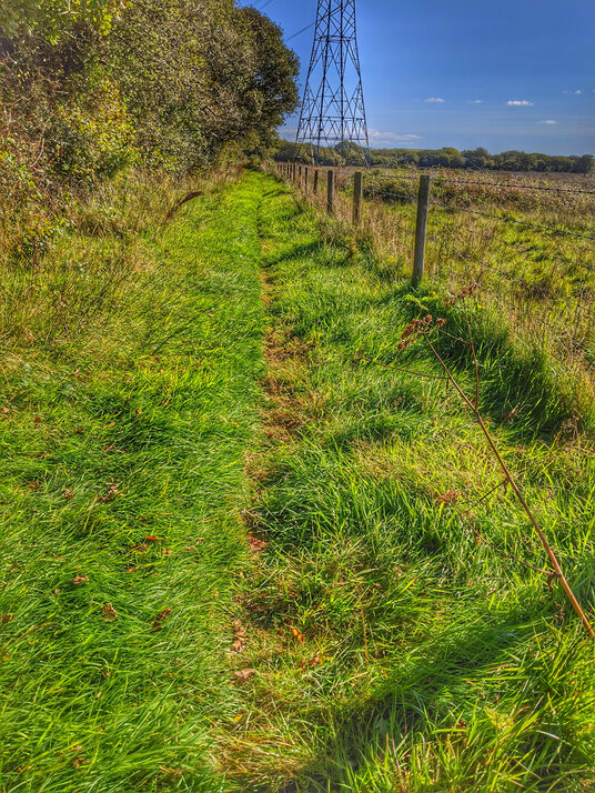 Path along the meadow below Helman Tor