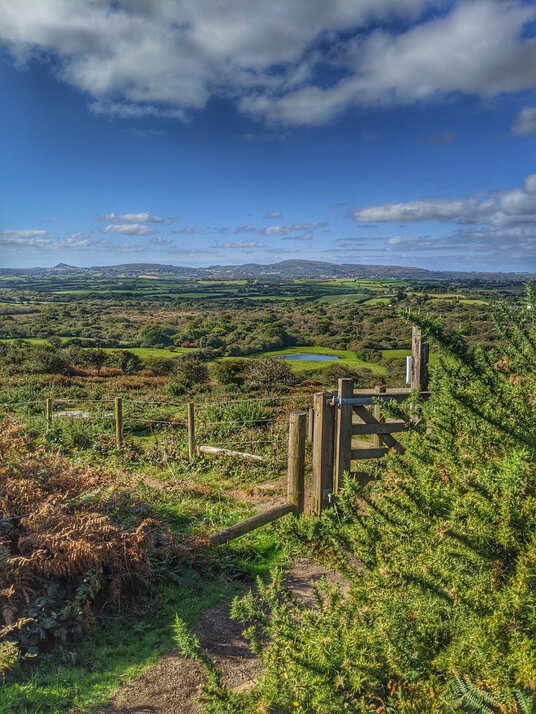 View from Helman Tor