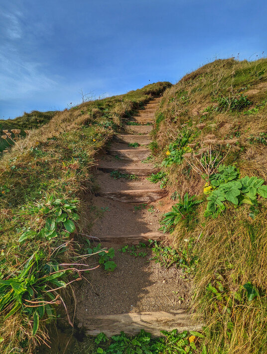 Coast path from Hemmick Beach