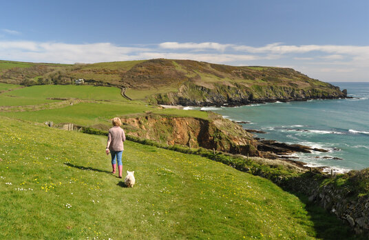Footpath near Hemmick Beach