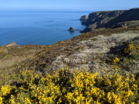 View from High Cliff