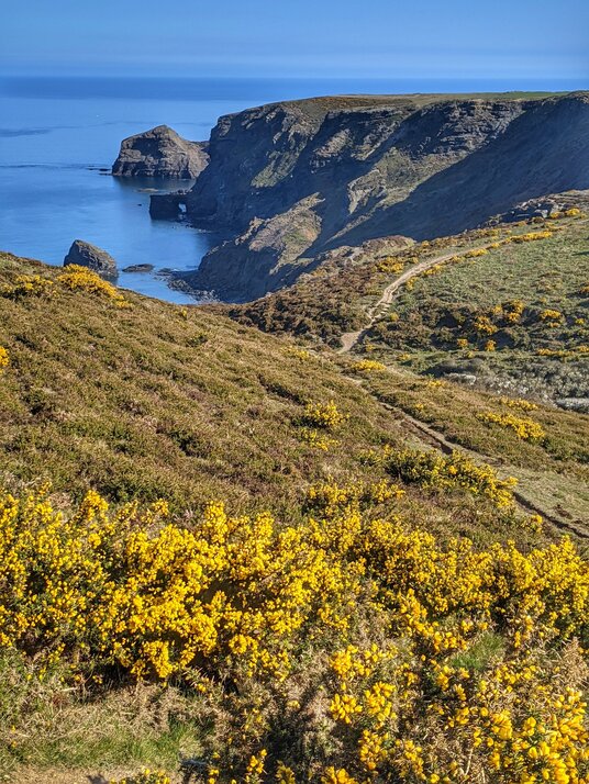 Coast path to High Cliff