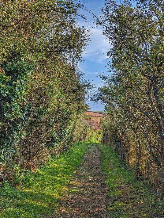 Path near Higher Pentire