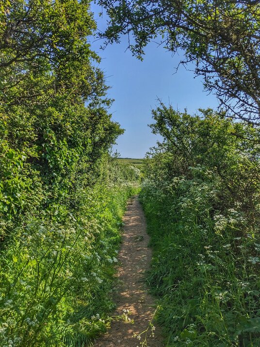 Path near Higher Pentire