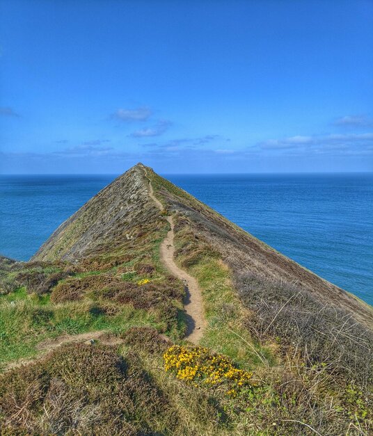 Higher Sharpnose Point