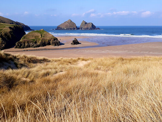 Dunes at Holywell Bay