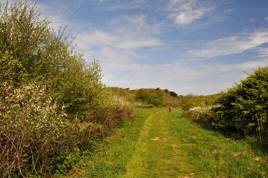 Path to Holywell Bay