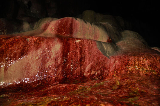 Red algae on the holy well