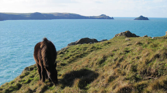View to The Rumps