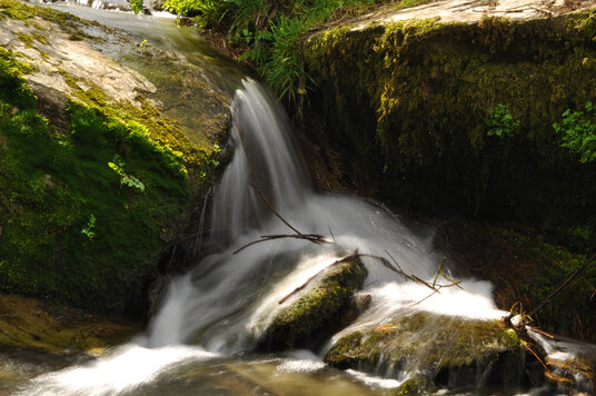 Stream at Jeffrey's Pit
