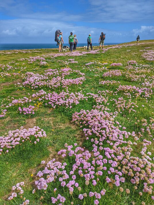 Thrift on The Kelseys