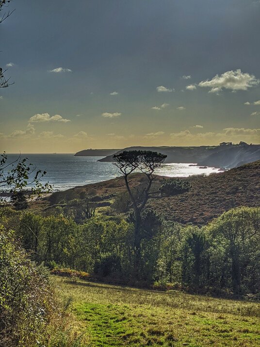 Footpath to Kennack Sands