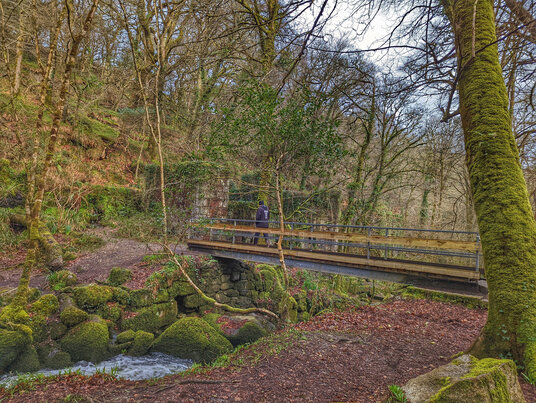 Bridge at Kennall Vale