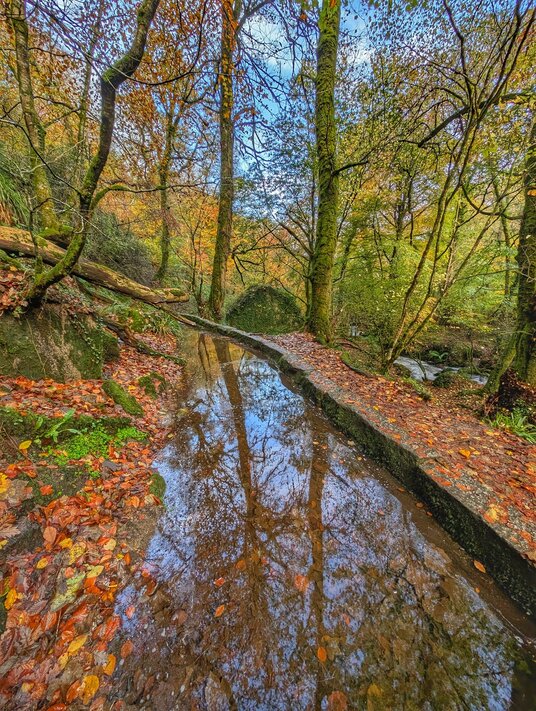 Leat in Kennall Vale