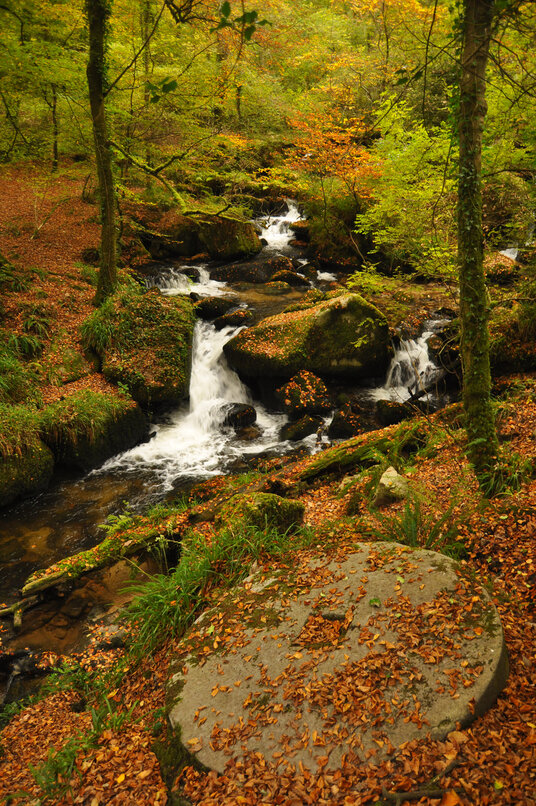 Millstone at Kennall Vale
