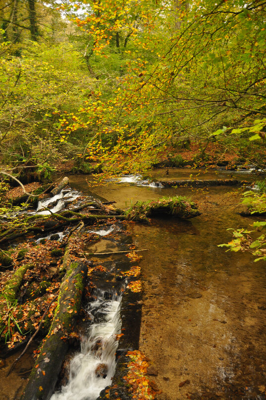 Weir at Kennall Vale