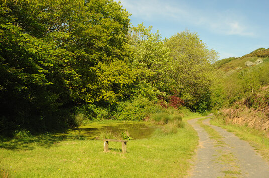 Lake at Kilkhampton Common