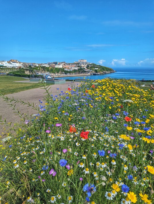 Flowers at the Killacourt