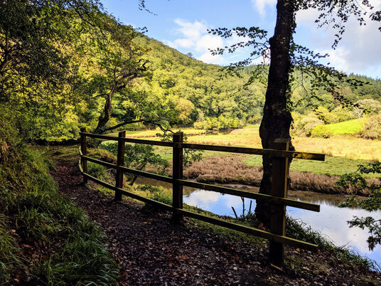 Path along the West Looe River at Kilminorth Woods