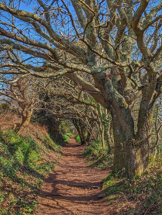 Footpath from Kingsand