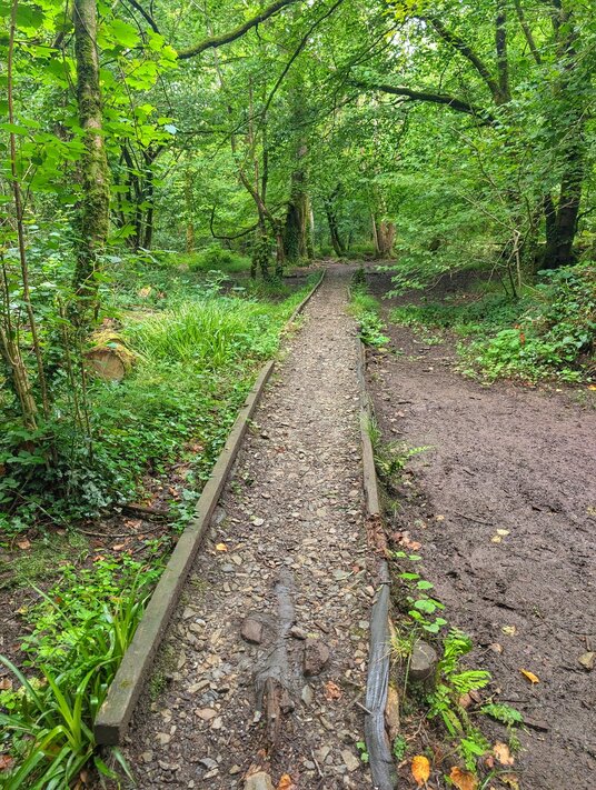 Path through King's Wood