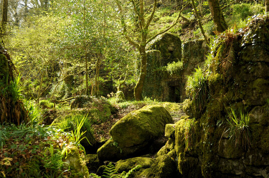 Remains in Kennall Vale