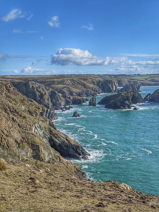 Coastline at Kynance Cove