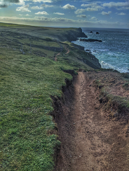 Path to Kynance Cove