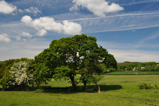 Fields near Gunnamanning