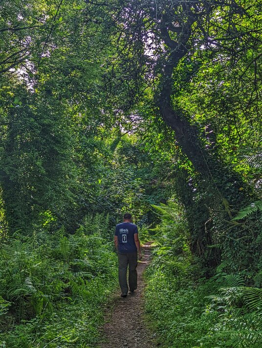 Path through the Lamorna Valley