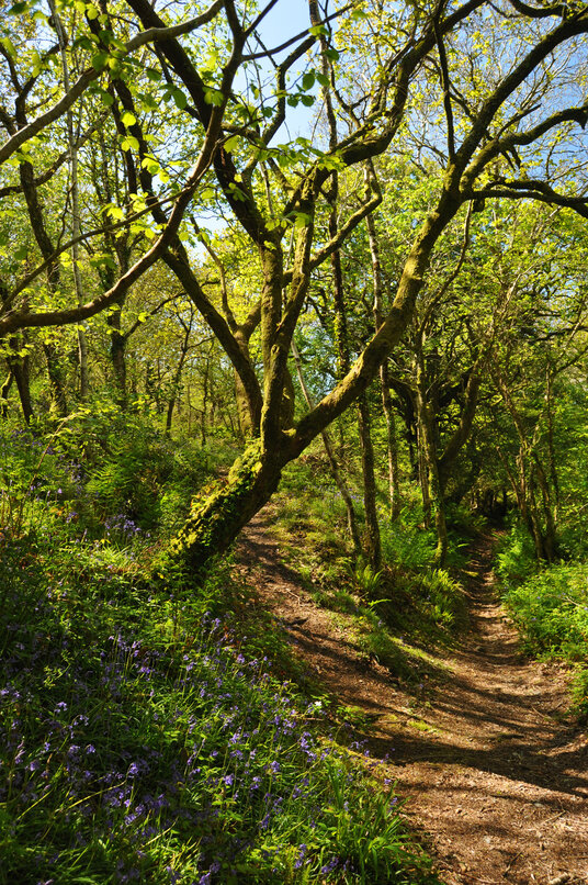 Fork in the path - keep right