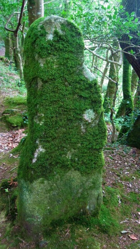 Granite standing stone in Lamphill Woods