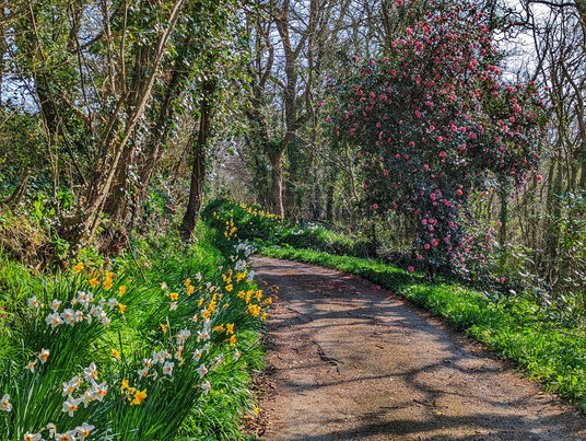 Track from Lampra Mill