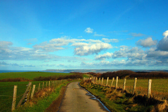 Lane near Millook Haven